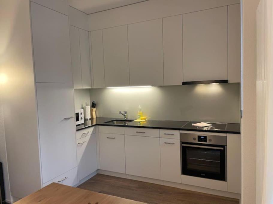 Elegant 2Br Apartment - Canal3 Zurich Bagian luar foto